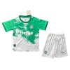 Maillot de Supporter Palmeiras Special Edition 2024 Blanche Pour Enfant